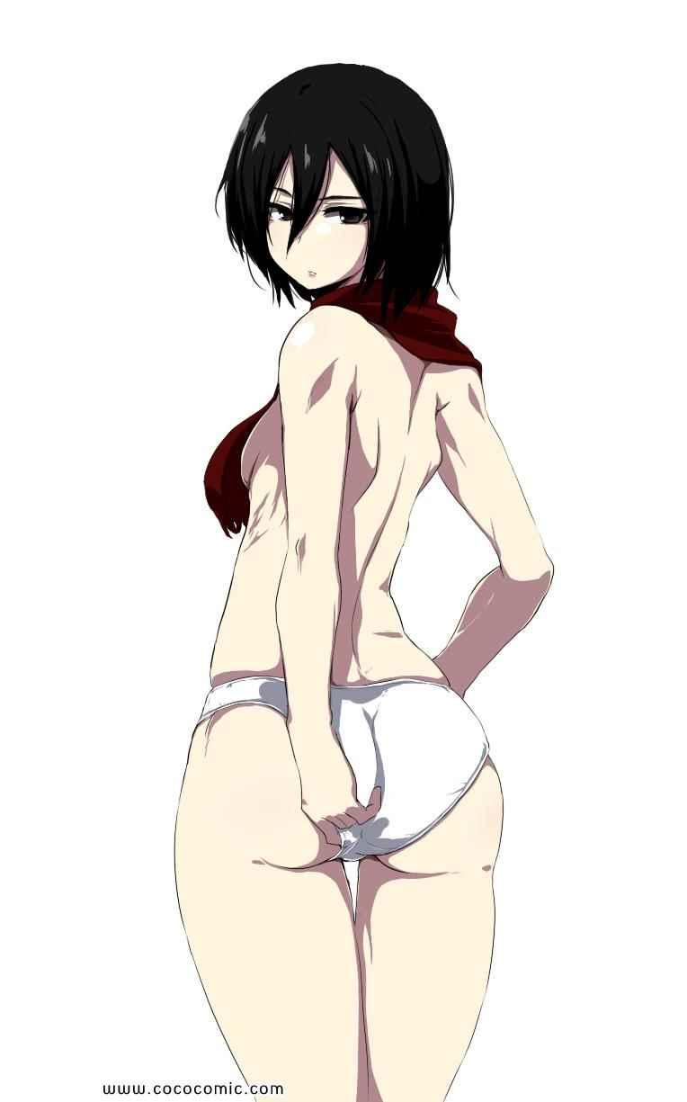 第 223 页