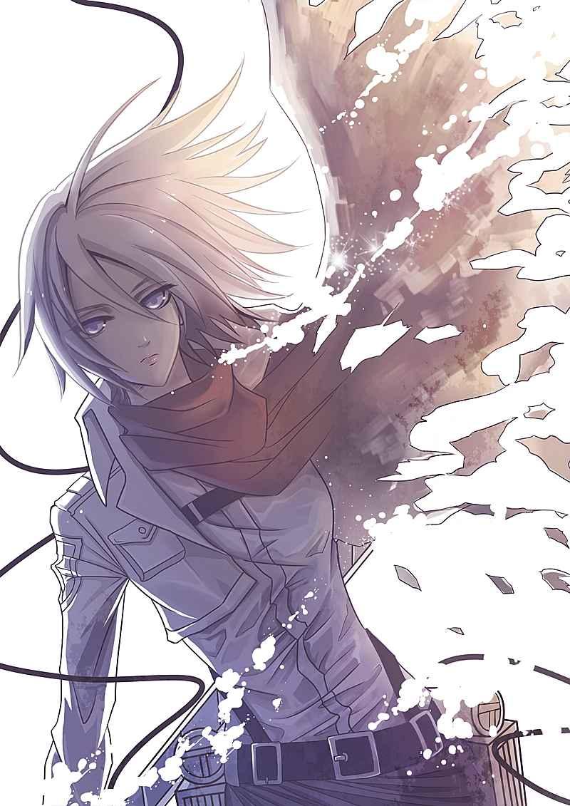 第 245 页