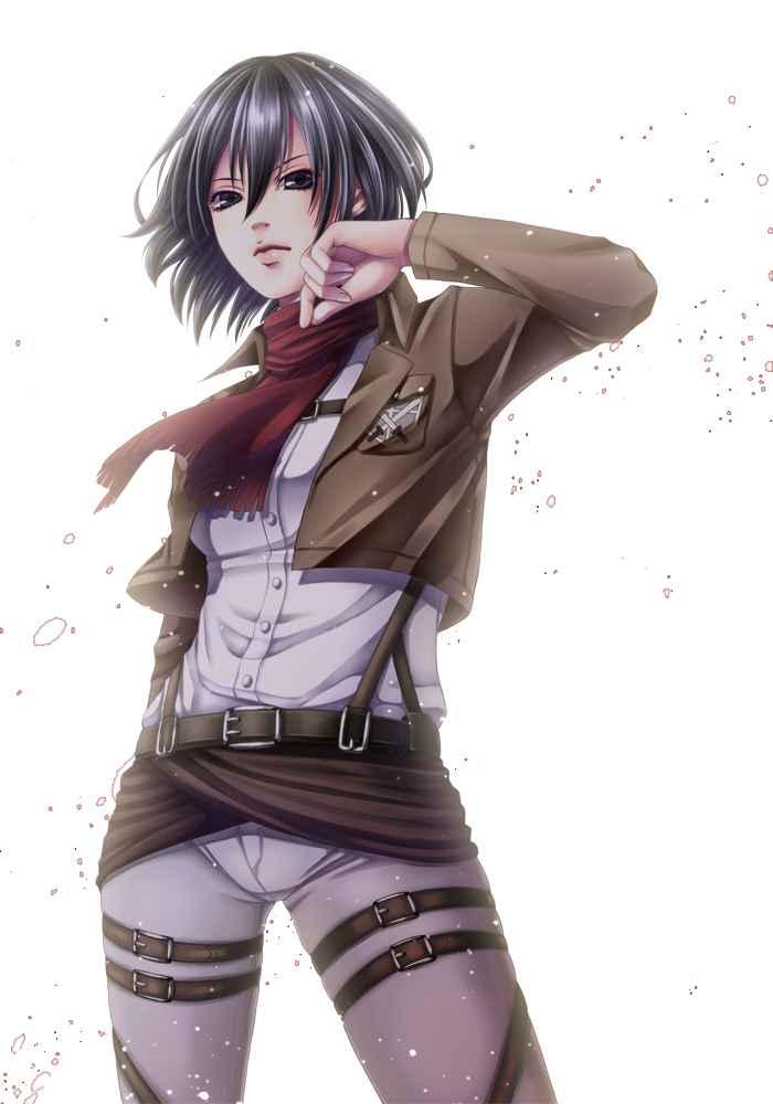 第 255 页