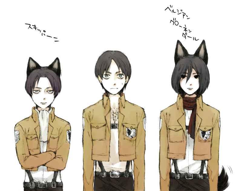 第 76 页