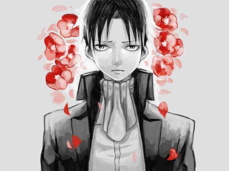 第 237 页