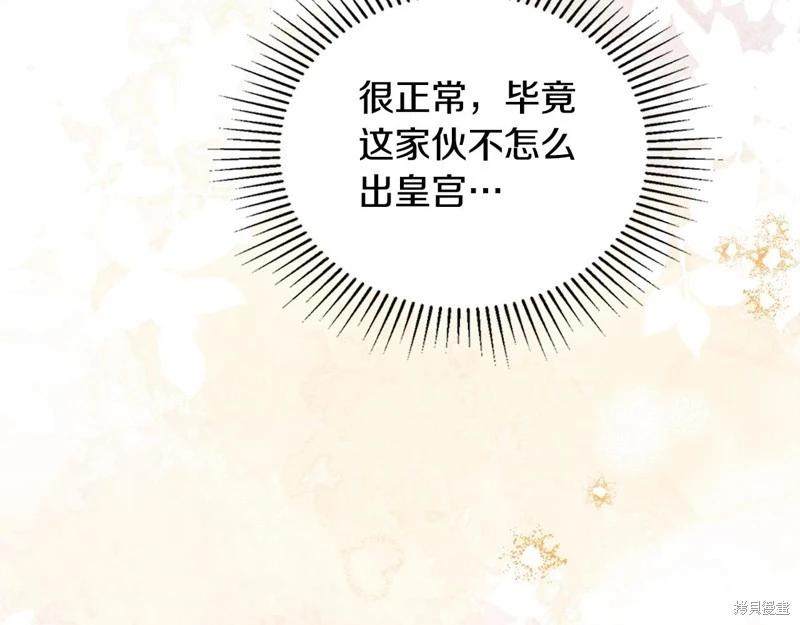 第 113 页