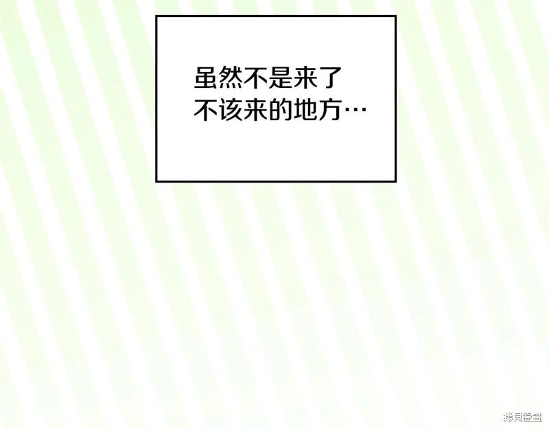 第 146 页