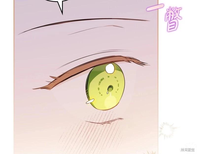 第 205 页