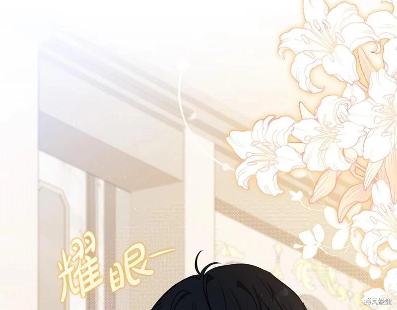 第 207 页