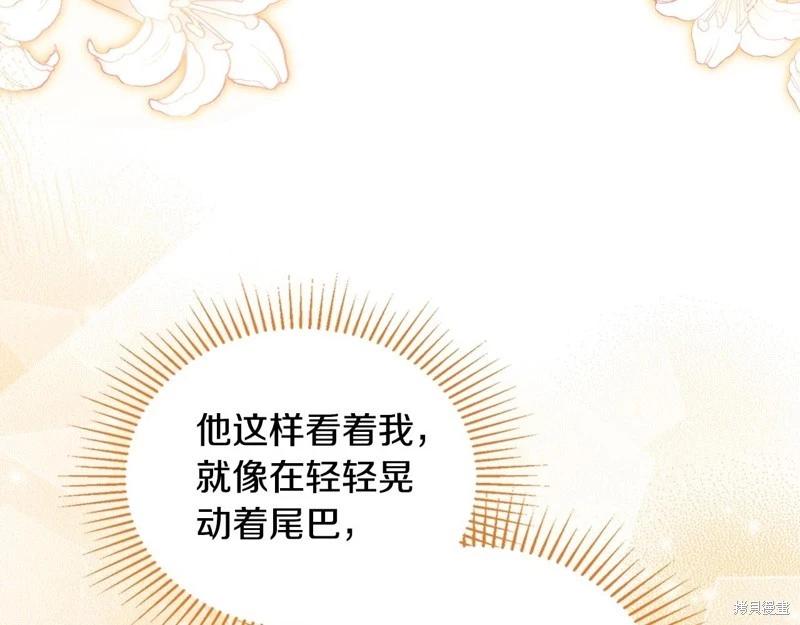 第 210 页