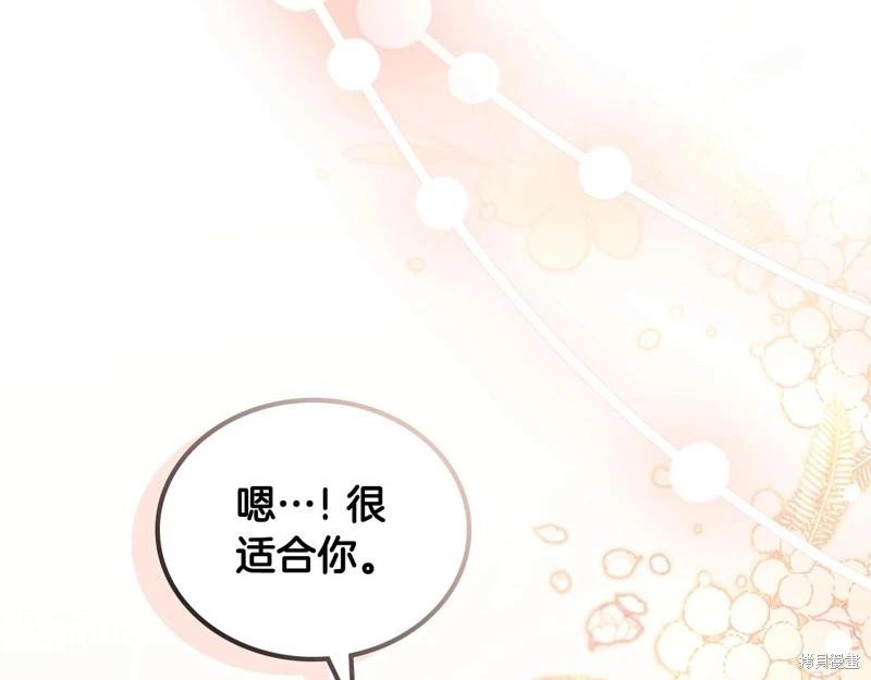 第 223 页