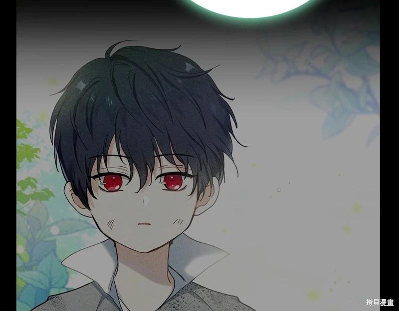 第 207 页