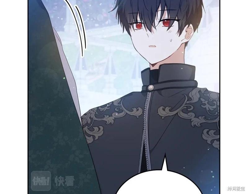第 217 页