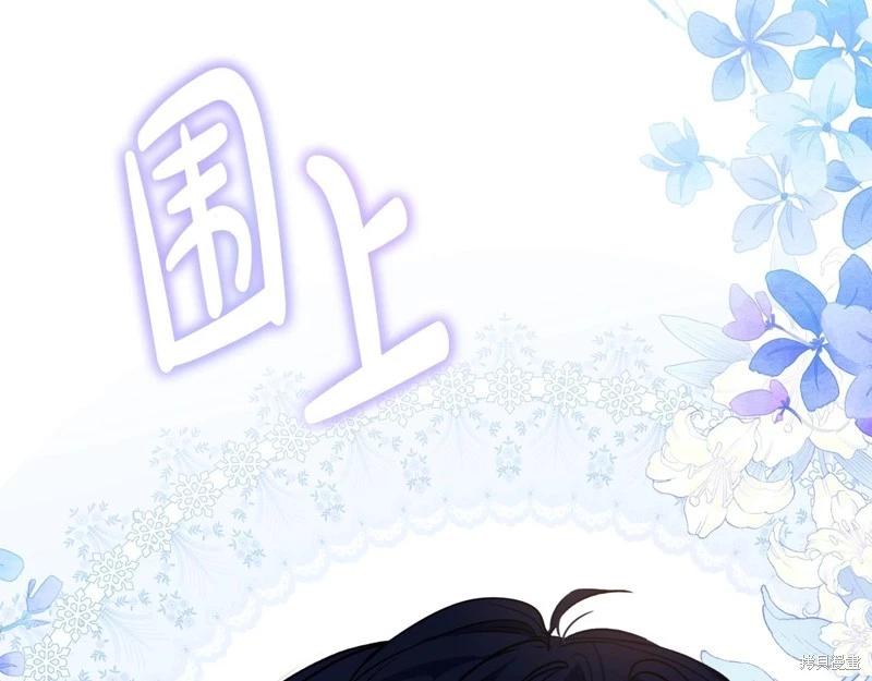 第 219 页