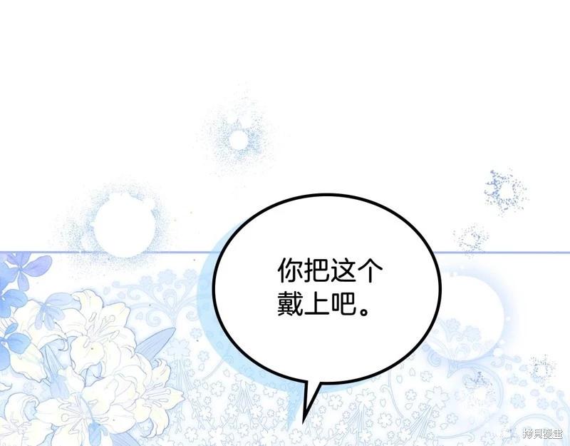 第 223 页