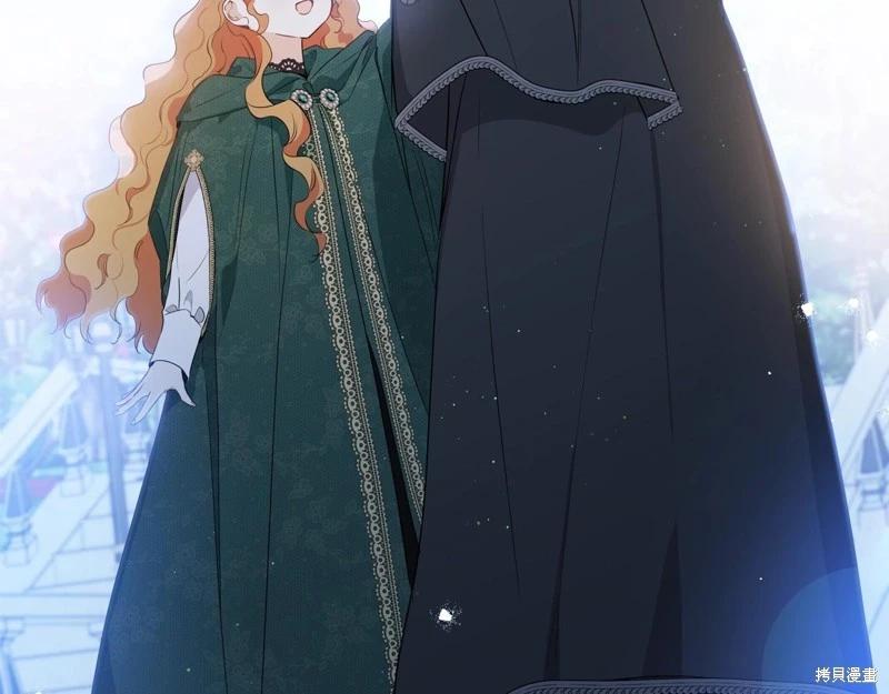 第 231 页