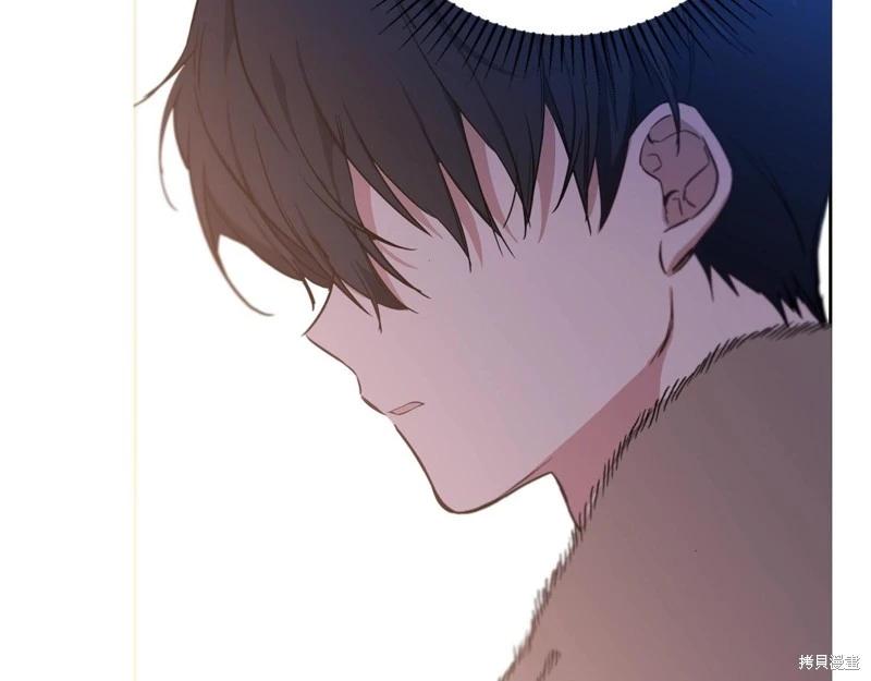 第 245 页