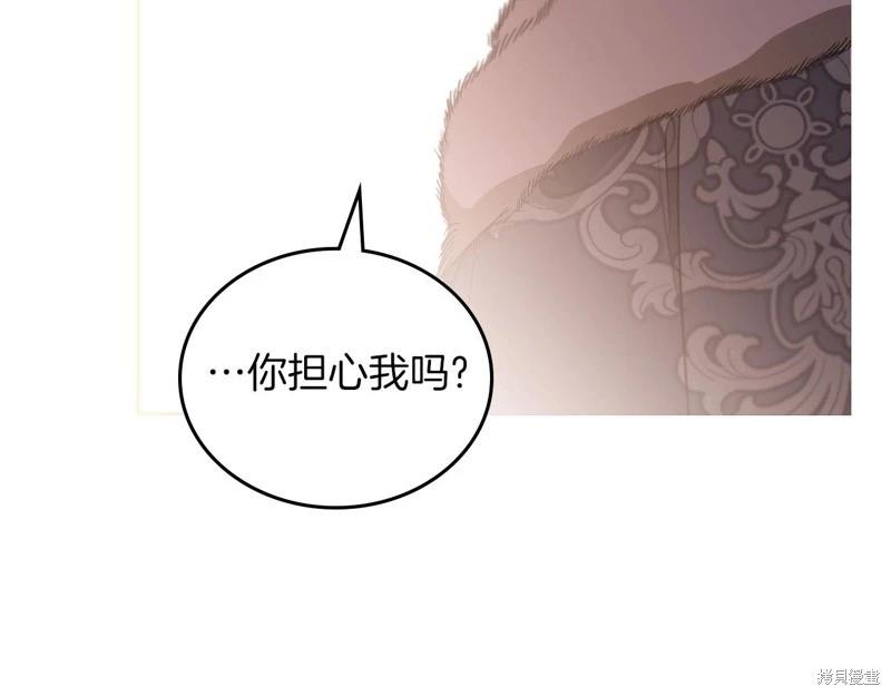 第 246 页