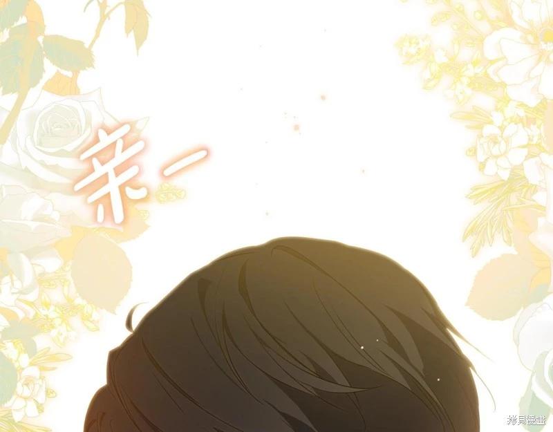 第 254 页