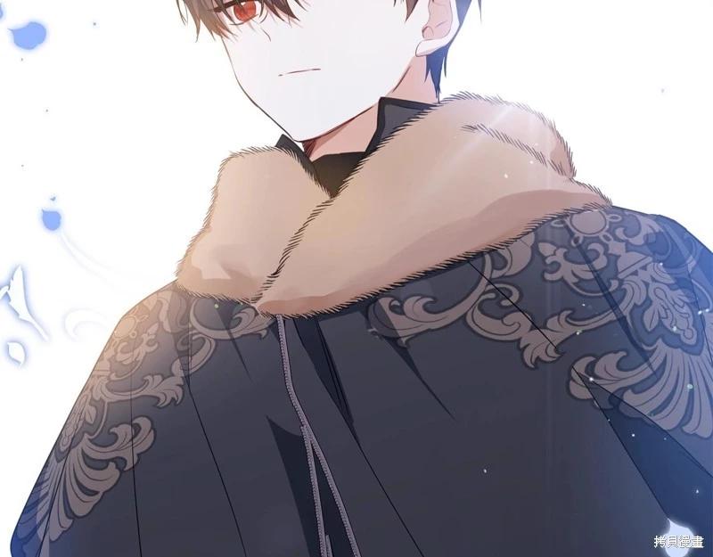 第 275 页