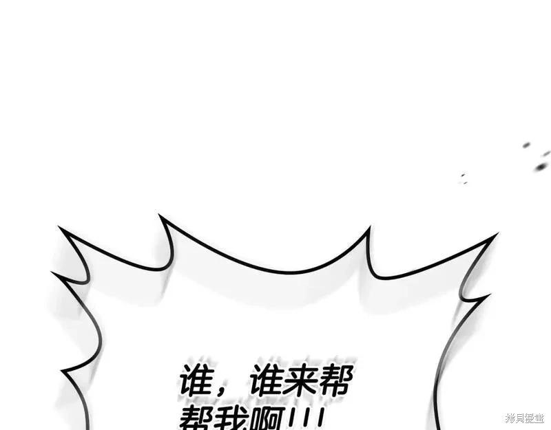 第 203 页