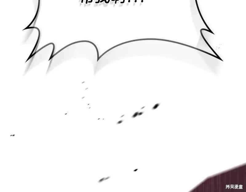 第 204 页