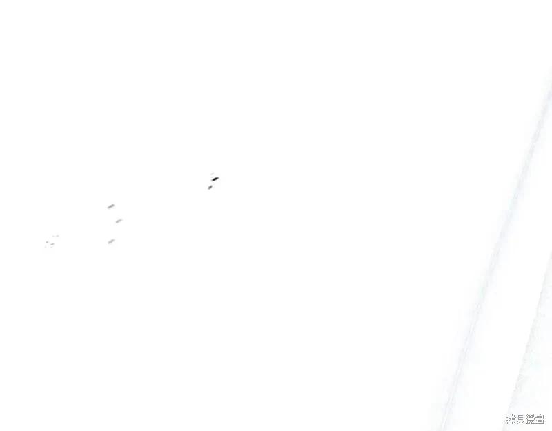 第 207 页