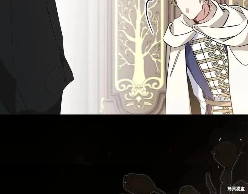 第 233 页