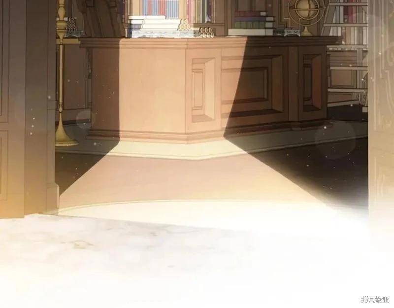 第 236 页