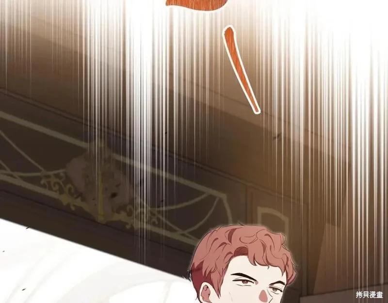 第 239 页