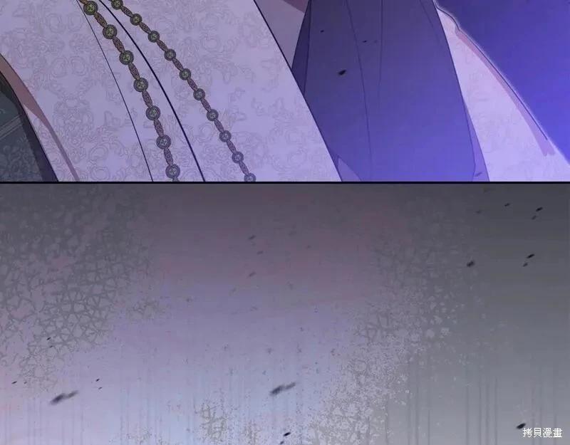 第 245 页