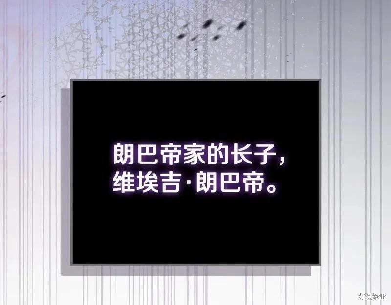 第 246 页