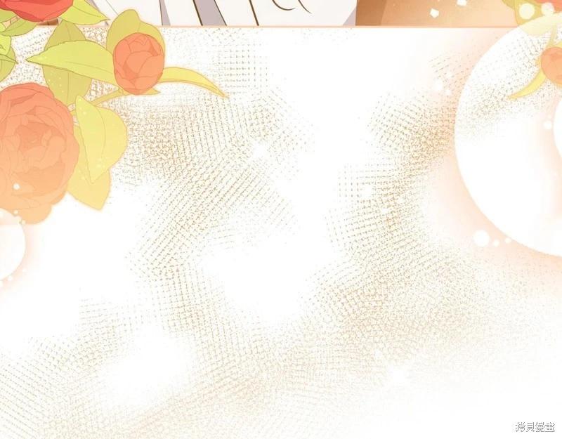 第 161 页