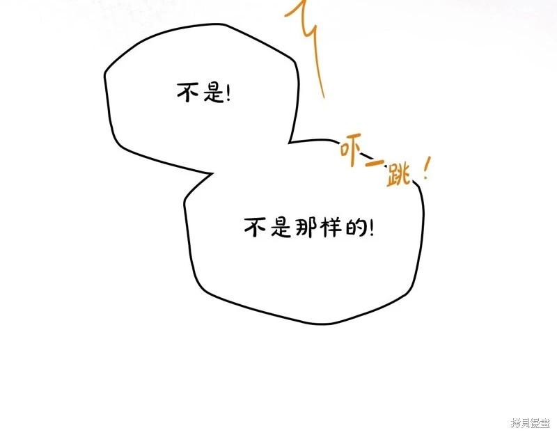 第 207 页