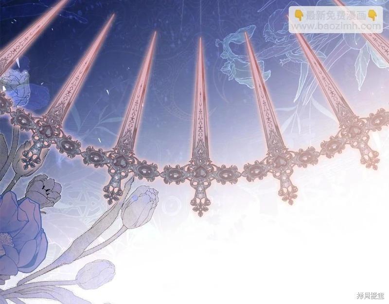 第 215 页
