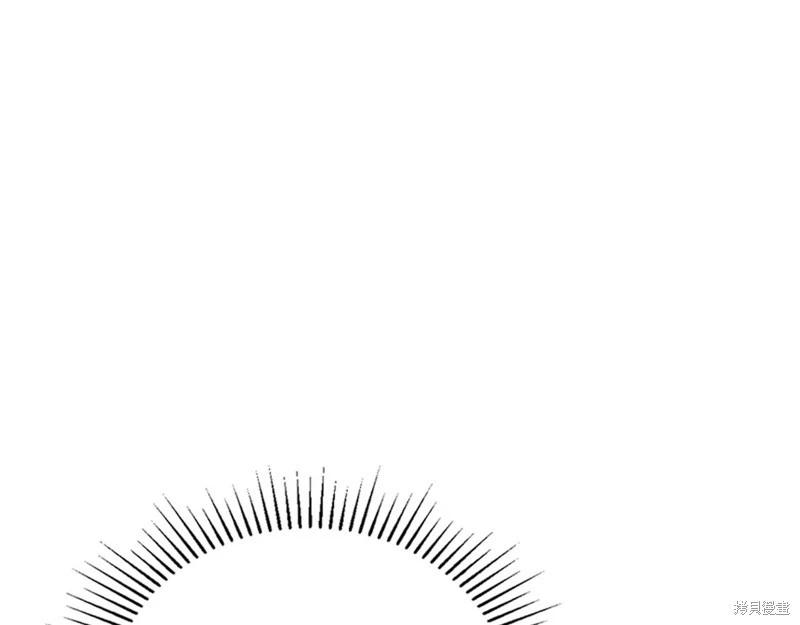 第 235 页