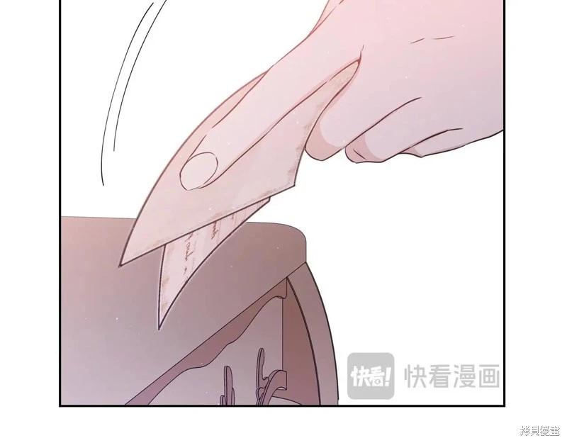第 244 页