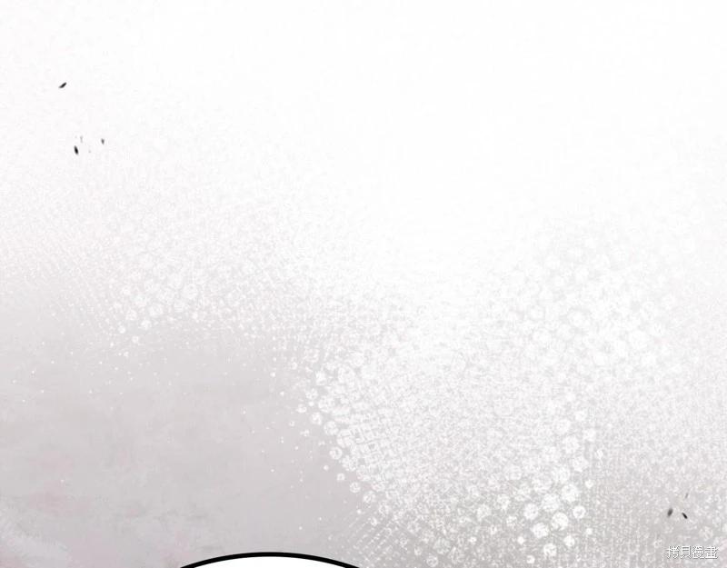 第 205 页