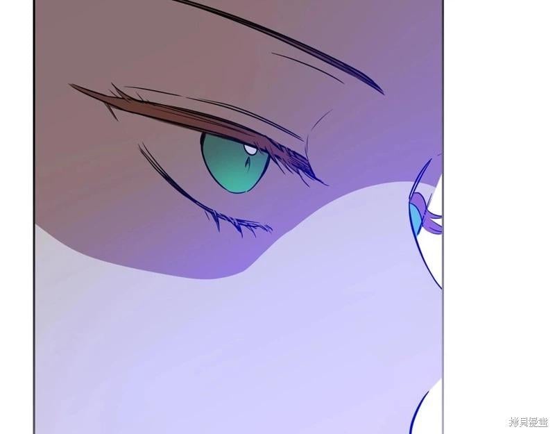 第 240 页