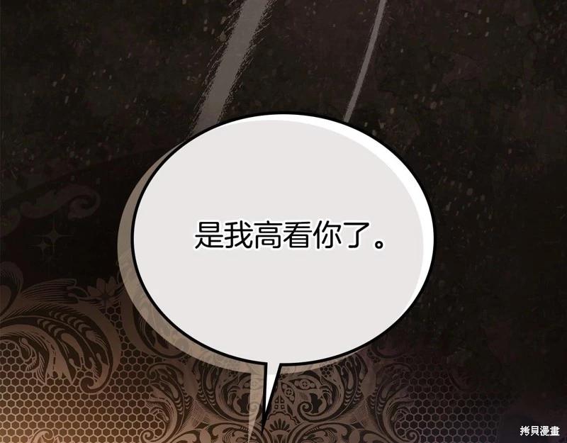 第 247 页
