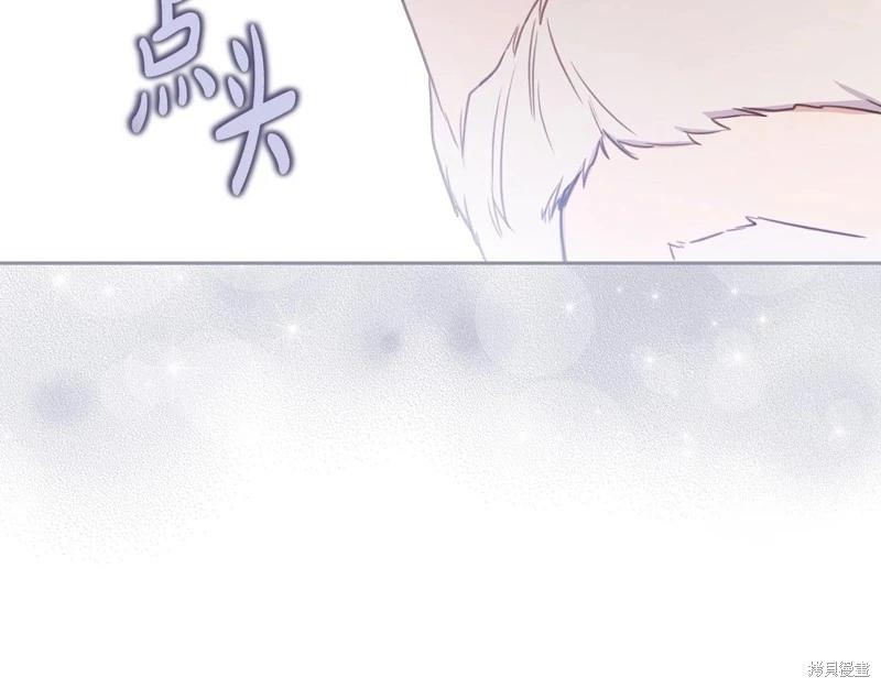 第 216 页