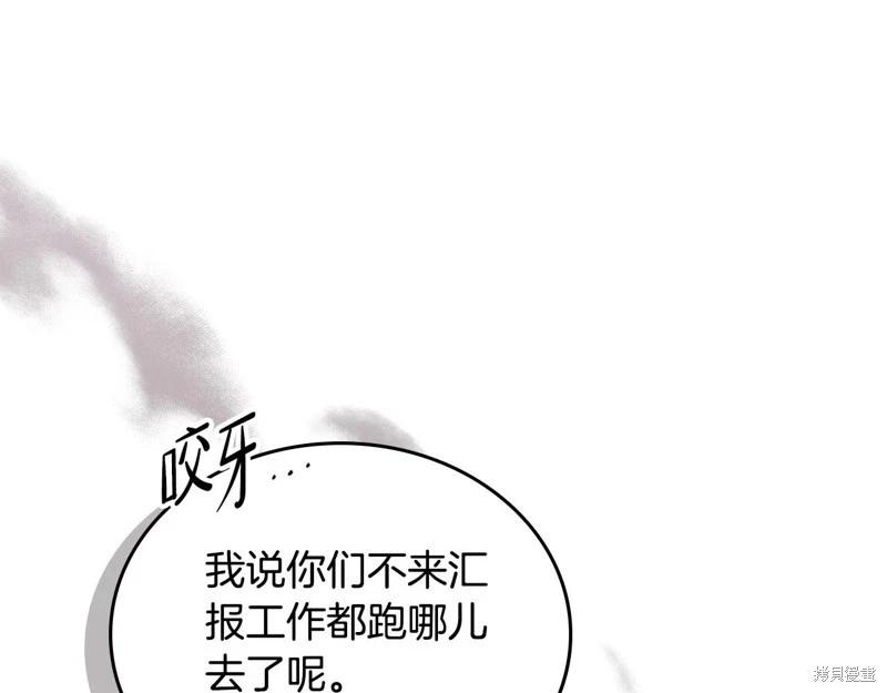 第 231 页