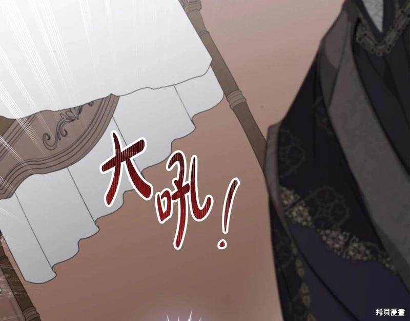 第 245 页