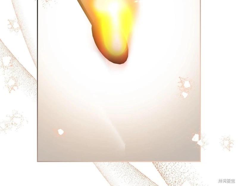 第 196 页