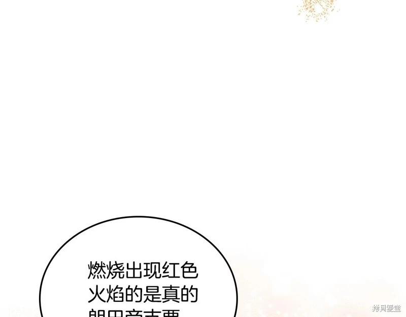 第 202 页