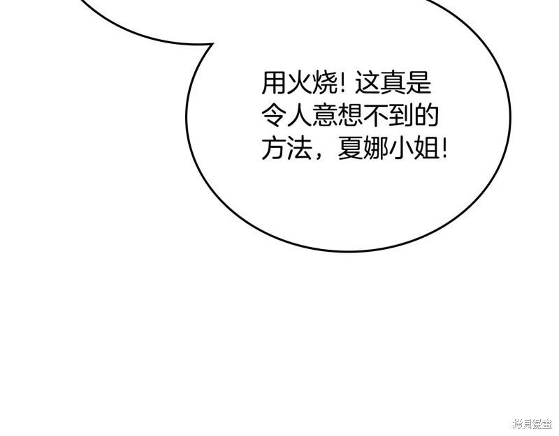 第 210 页