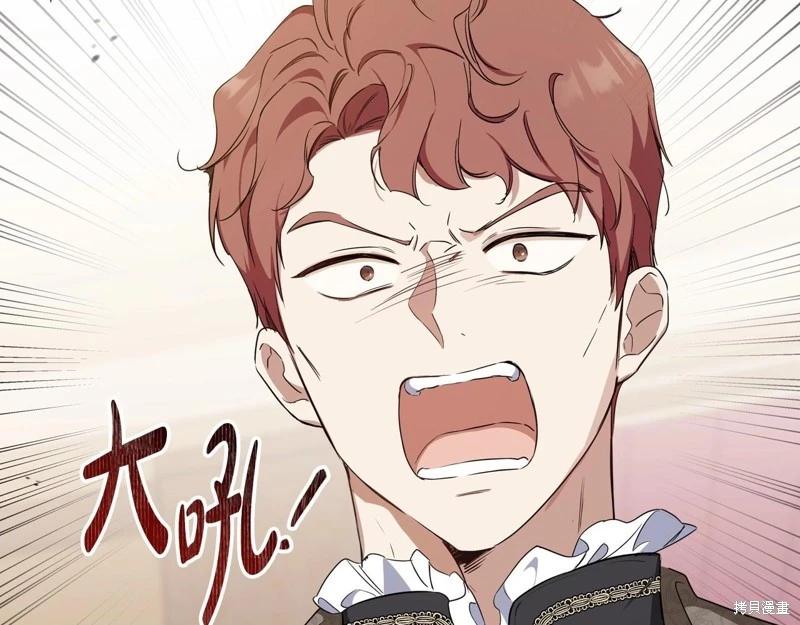 第 234 页