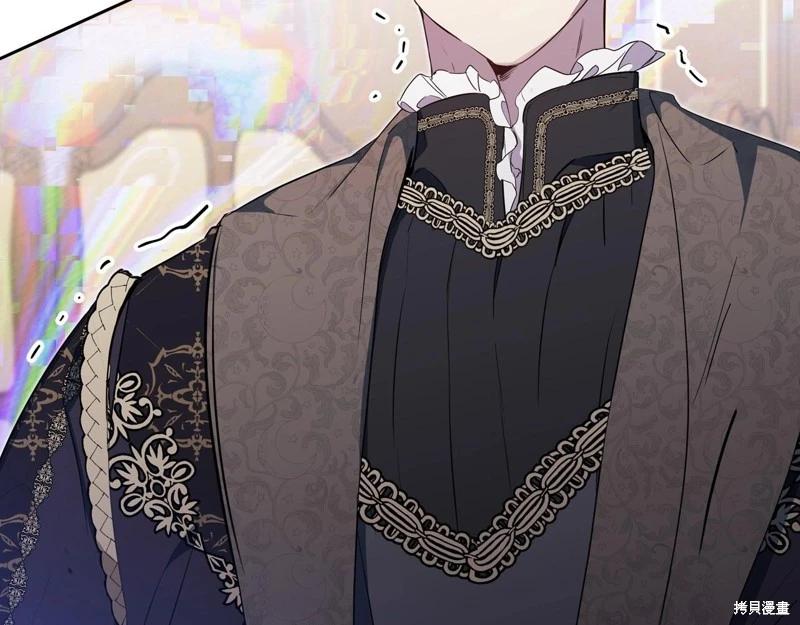 第 246 页