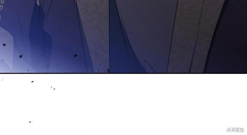 第 247 页