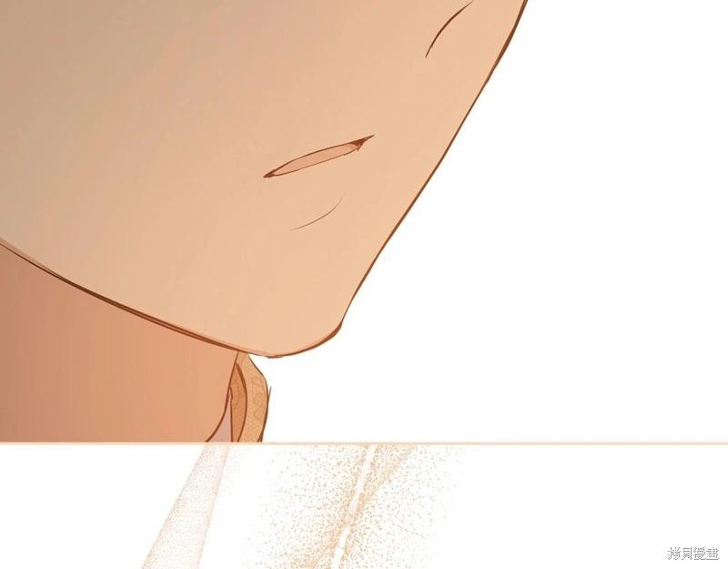 第 258 页