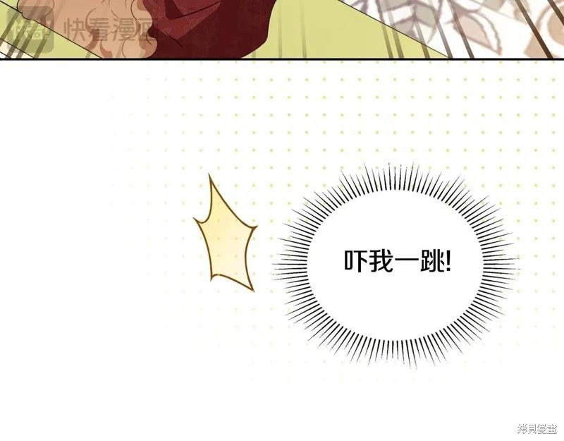 第 235 页
