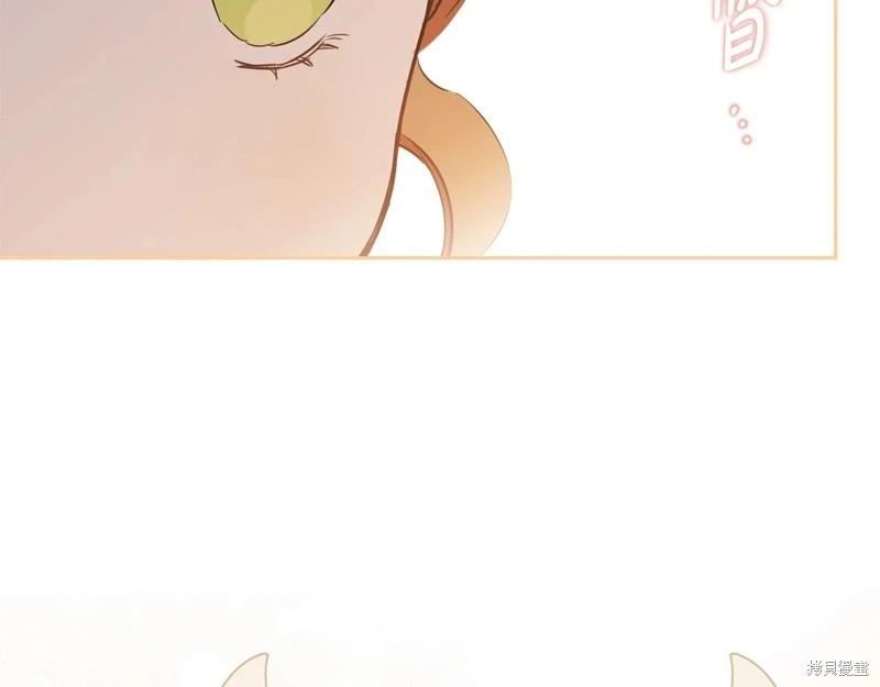 第 261 页