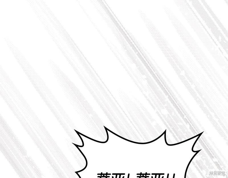 第 271 页