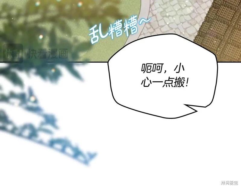 第 185 页
